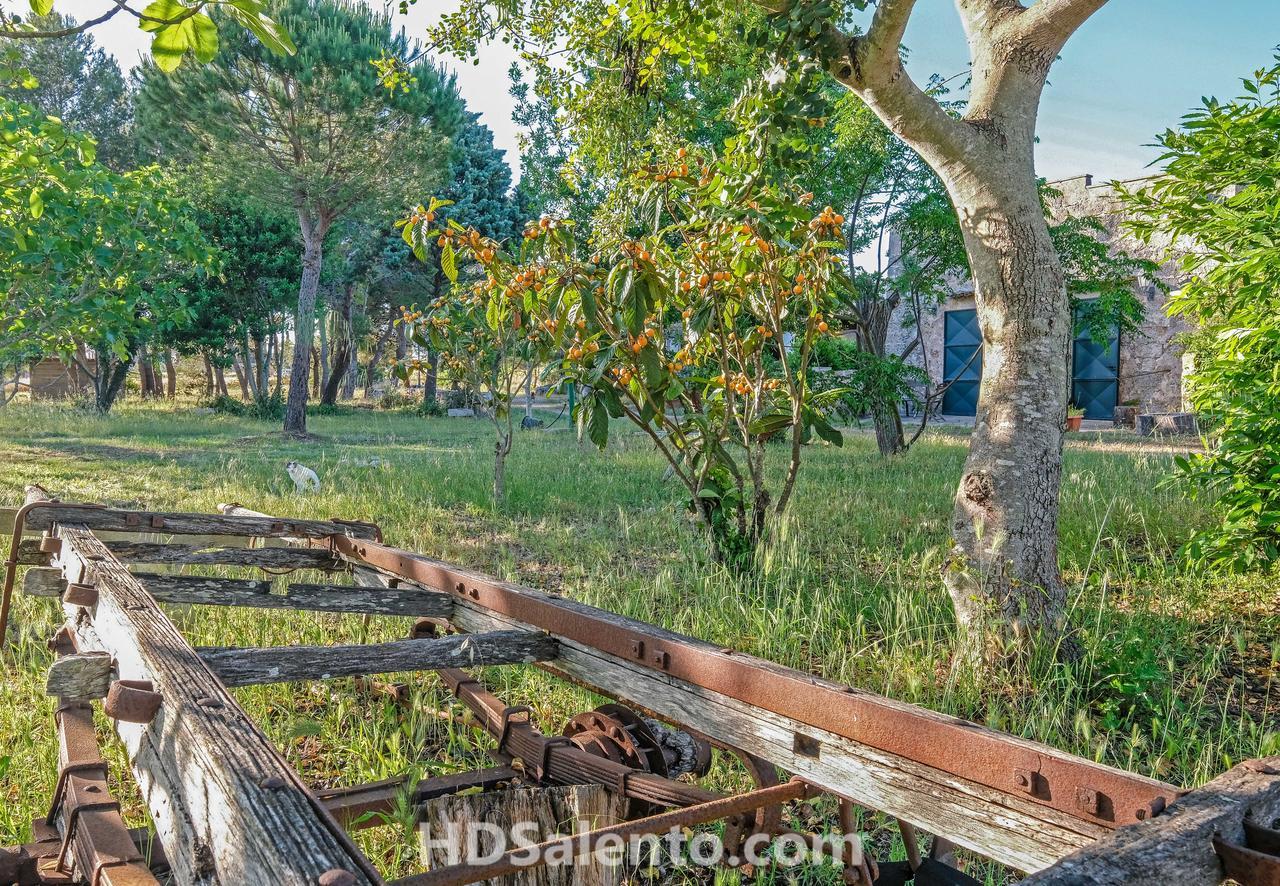 Bed and Breakfast Masseria Macurano Алессано Экстерьер фото